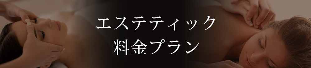 エステ料金プラン